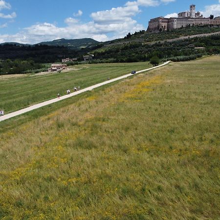 Agriturismo Molinella อัสซิซี ภายนอก รูปภาพ